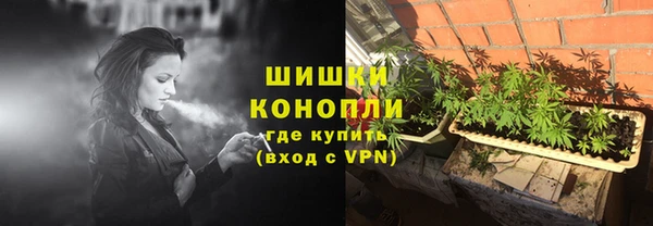 индика Бугульма